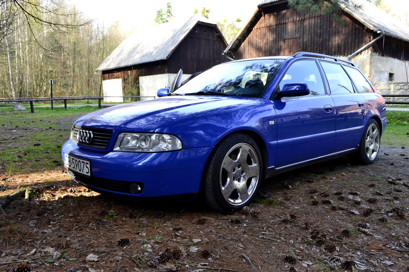 97afd16f1697d179e9d1dc96c5b.jpg